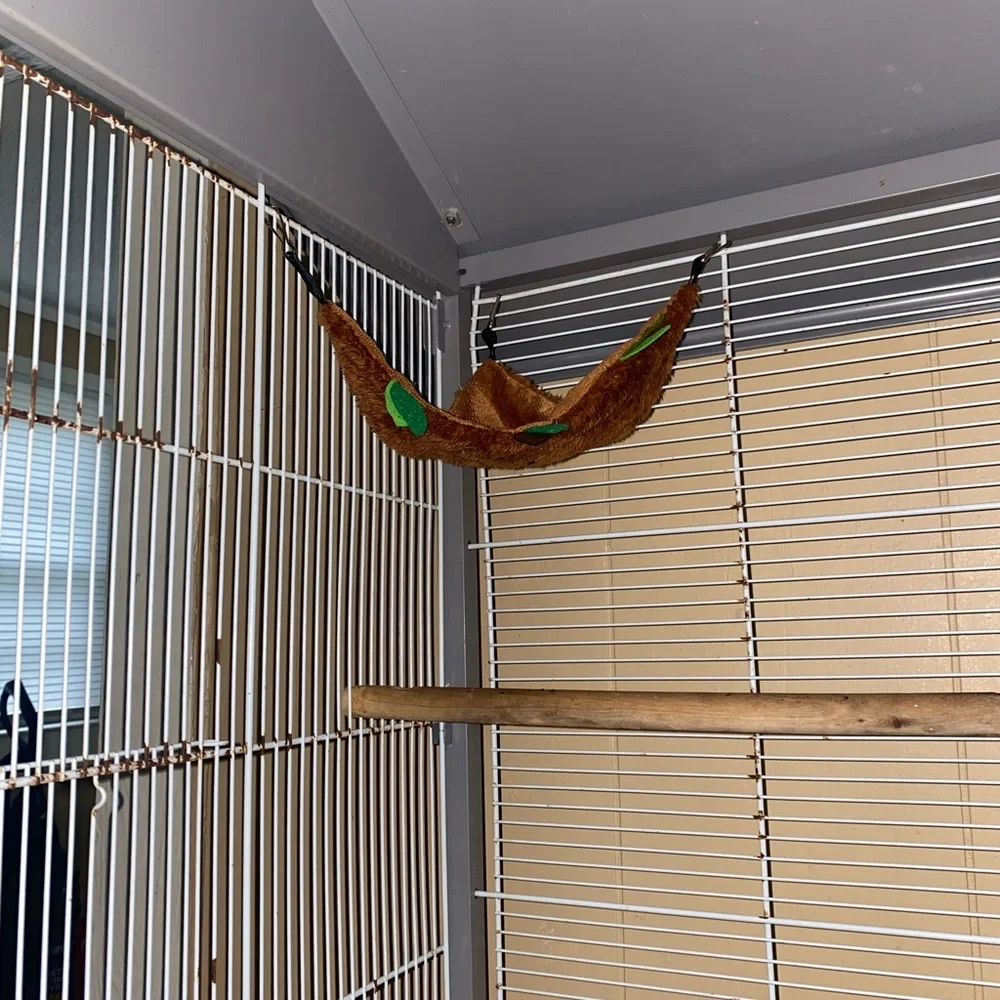 Bird “House”